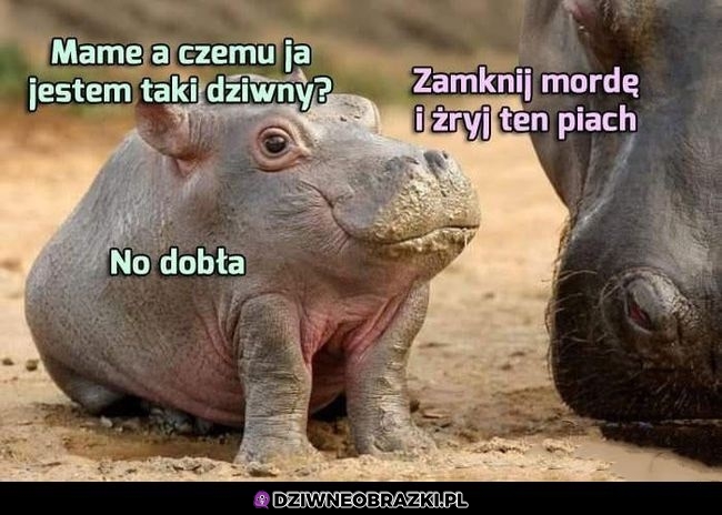 Czy jest dziwny