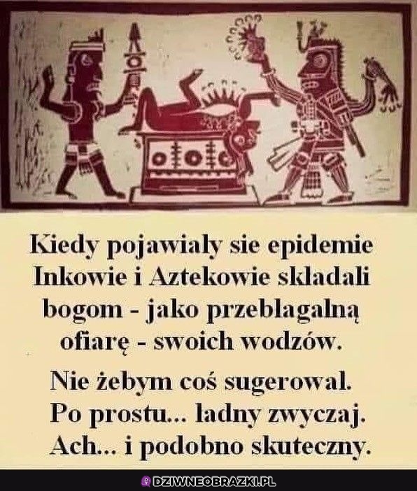 Nie żebym coś sugerował, ale