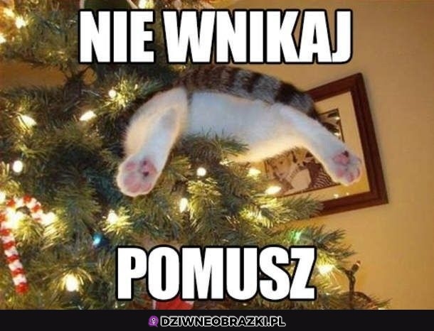 Pomusz człowieku