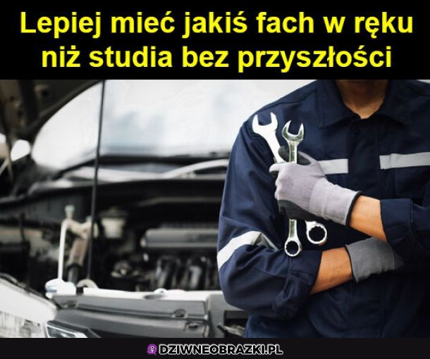 Cytat dnia