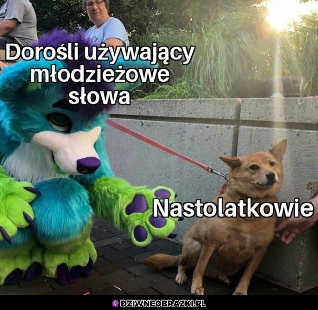 Dorośli używający młodzieżowych słów
