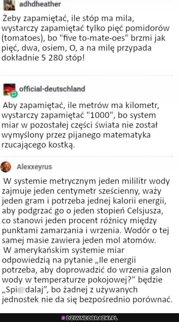 ktoś mądry kiedyś napisał...