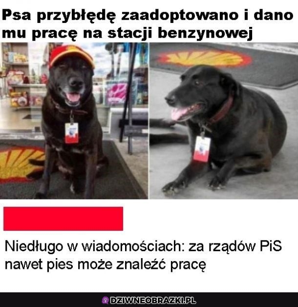 Niedługo