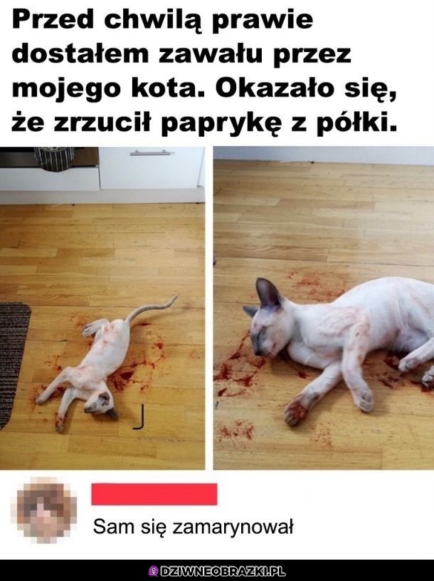 Krótki zawał