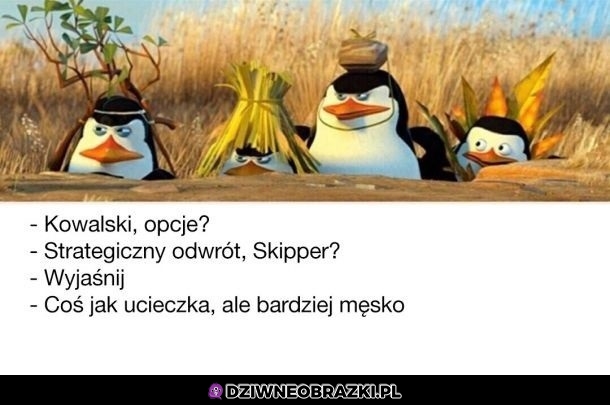 Kowalski opcje! Kowalski opcje!