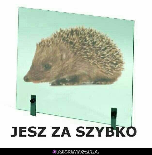 Jesz za szybko