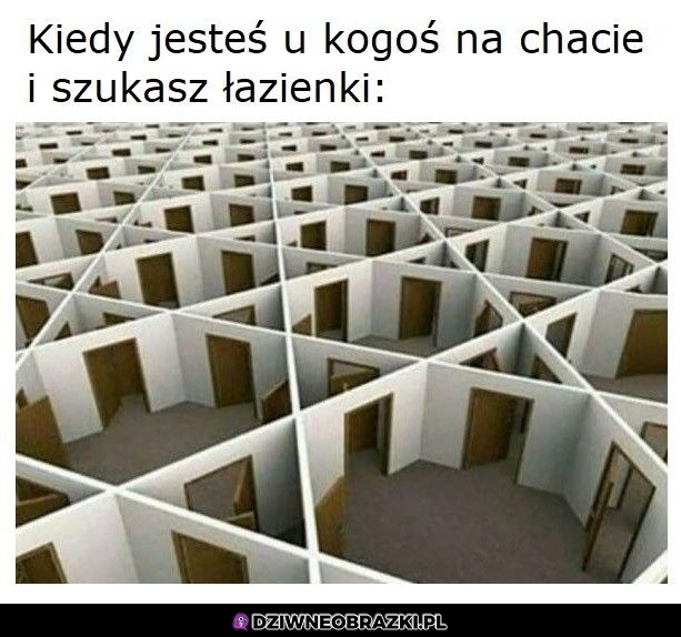 Poszukiwania łazienki