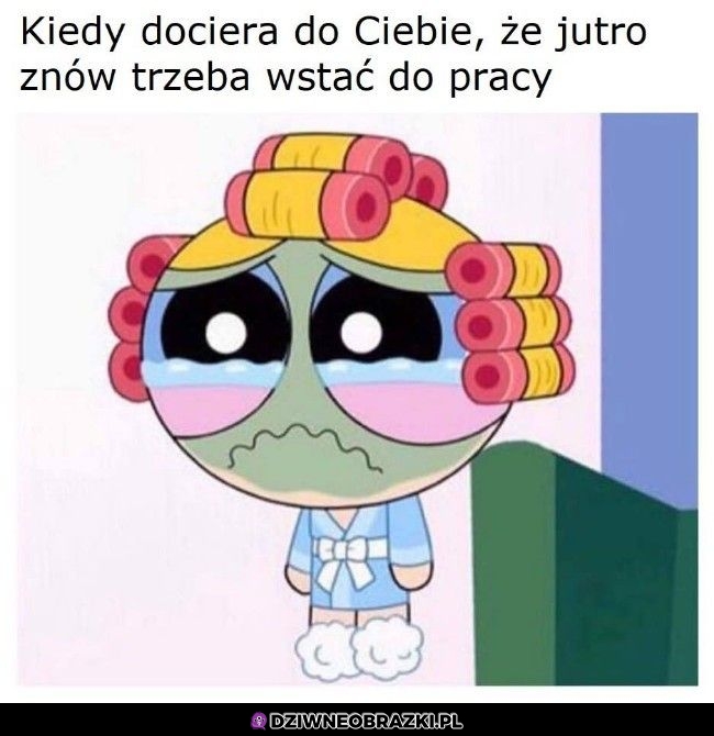 No nie