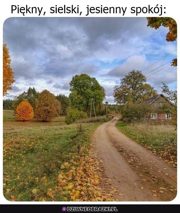 Za oknem to trochę inaczej wygląda... 