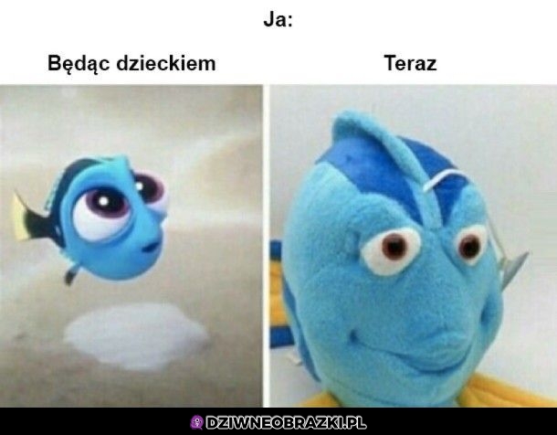 Wyrosłem