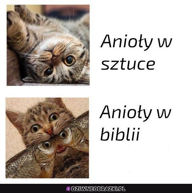 Anioły takie są