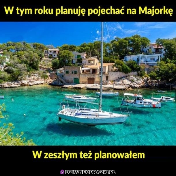 Planuję