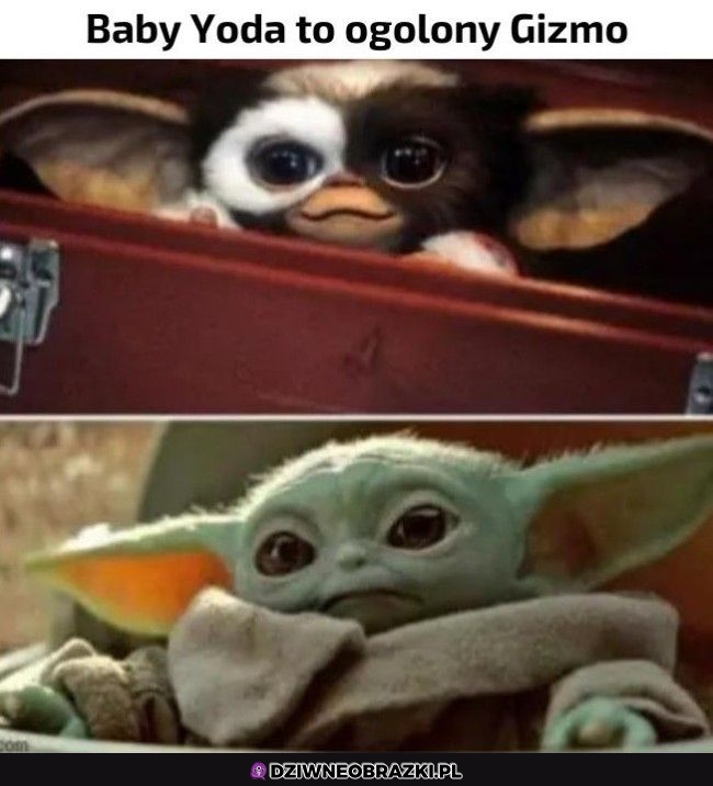 To prawda