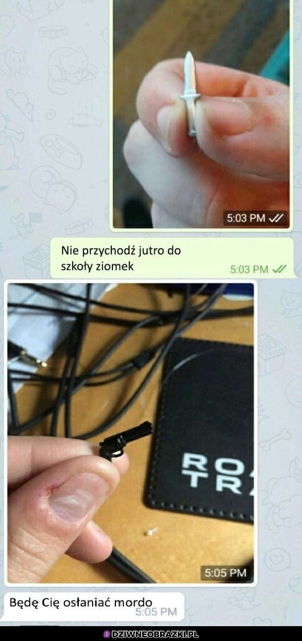 Ziomki