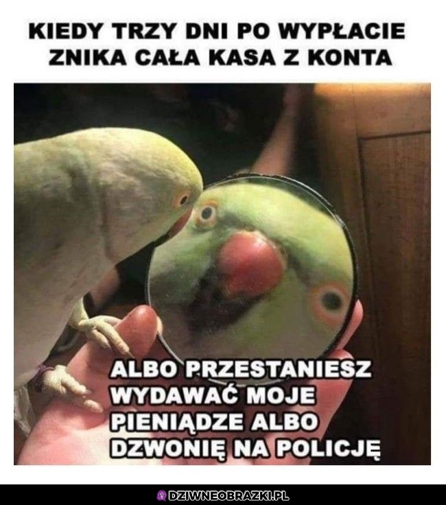 Kiedy przepieprzysz całą wypłatę