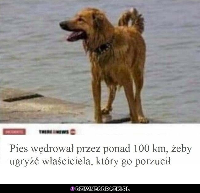 Szanuję