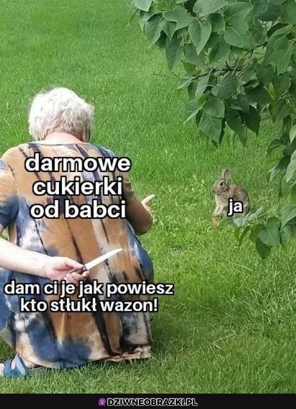 Pułapka