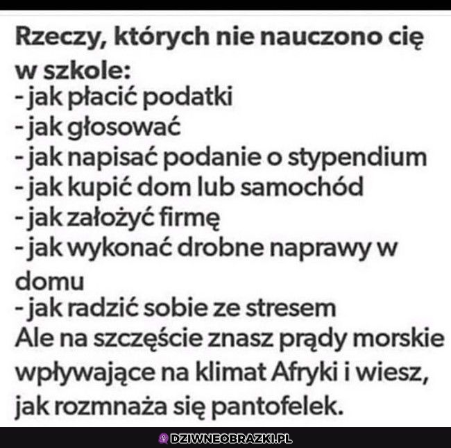 Dziękuję szkoło