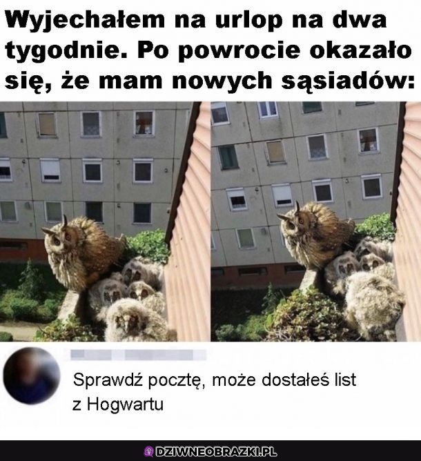 Najlepsze sąsiedztwo