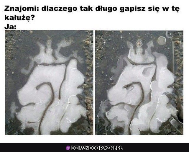 Widzisz to?