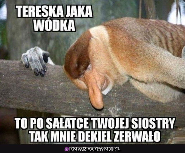 Wszystko przez tę sałatkę