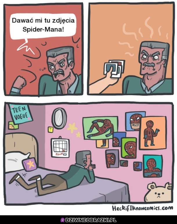 Zdjęcia spidermana