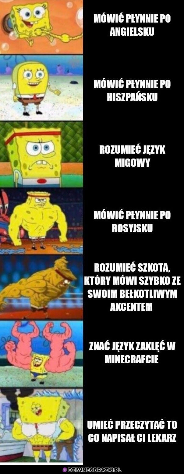 Stopnie zrozumienia