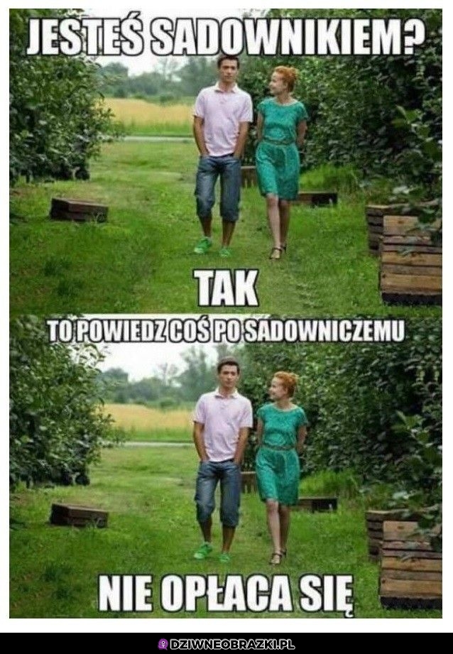 Sadownicy