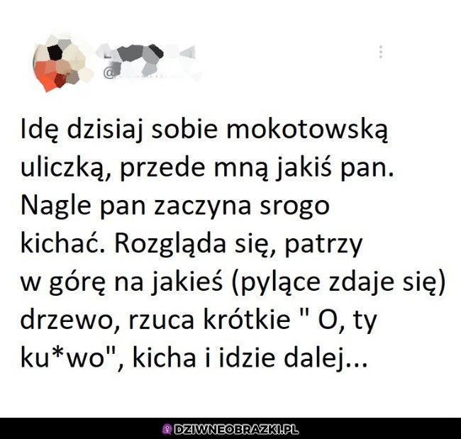 Pozdrowienia dla pana