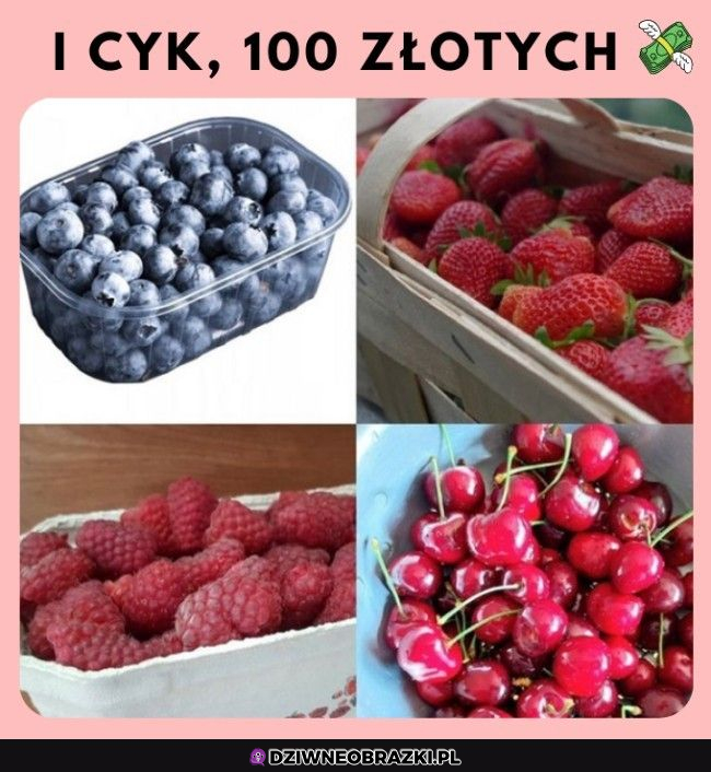 Szybko wydane 100 ziko