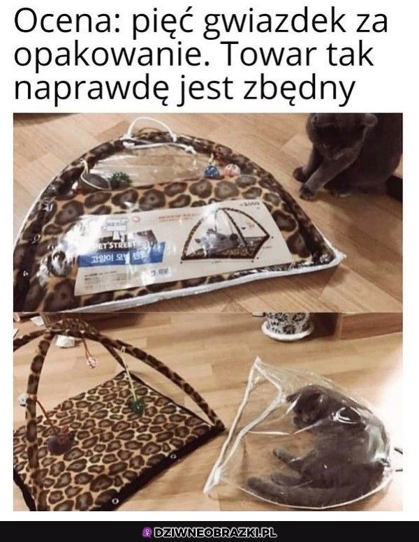 Najlepszy prezent dla kota