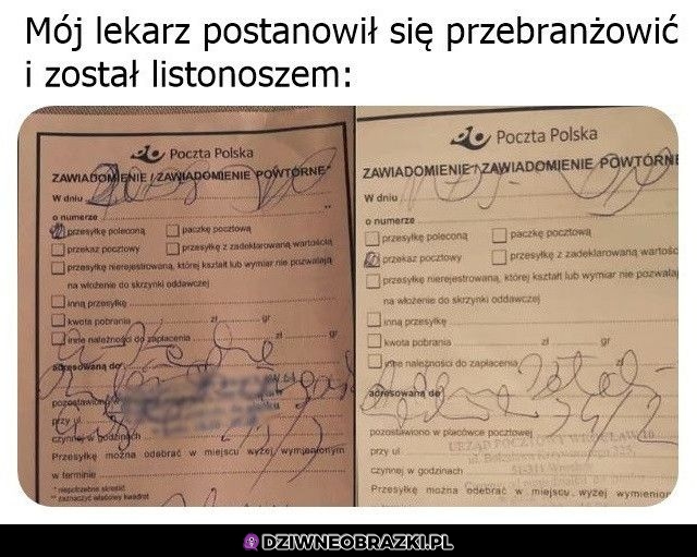 Świetne notatki