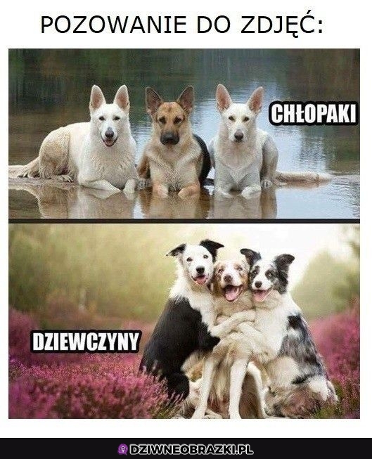 Pozowanie do zdjęcia