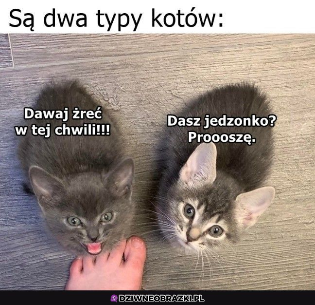 Istnieją dwa typy ludzi