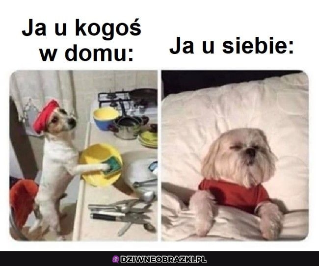 To ja