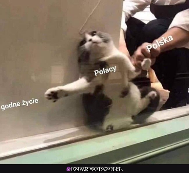 Nie dla nas