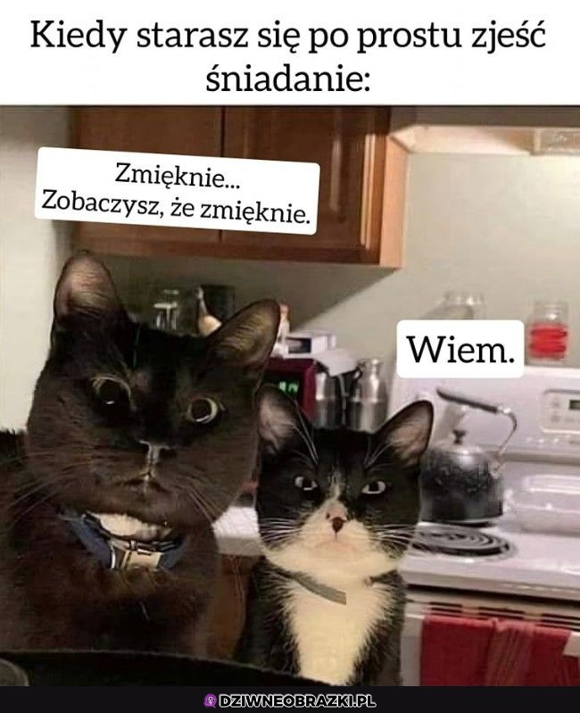 Podczas śniadania