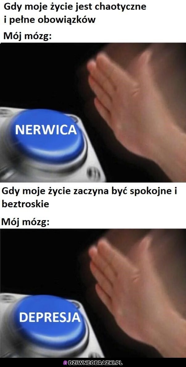 Mój mózg