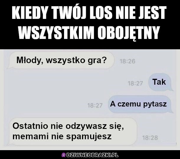 Prawdziwi przyjaciele