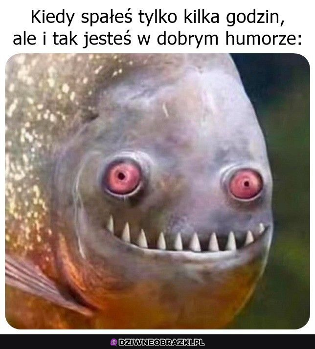 Ważne, że dobry humorek jest