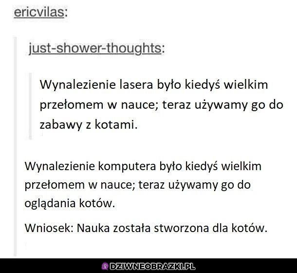 Ciekawy wniosek