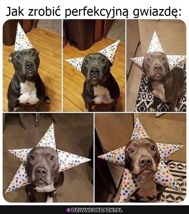 Perfekcyjna gwiazda