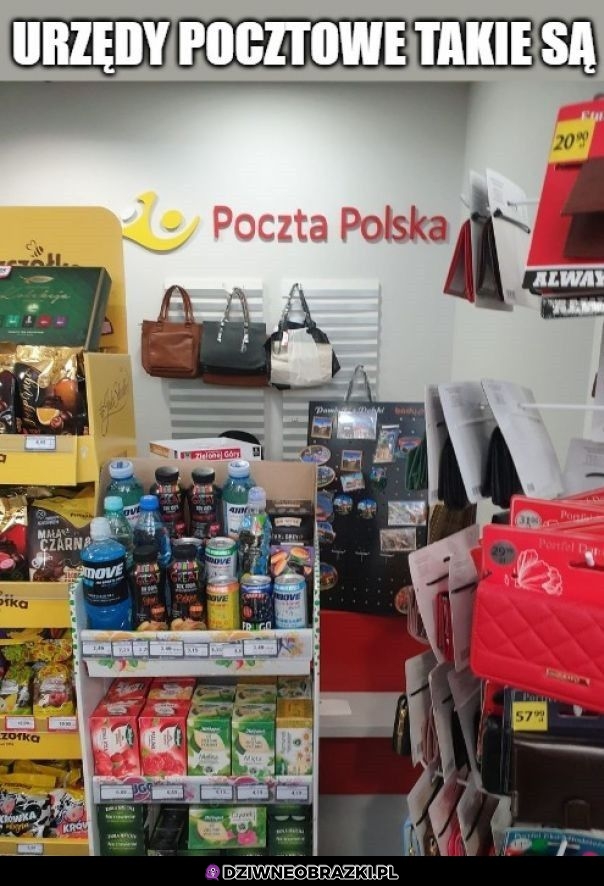 Wszystko kupisz