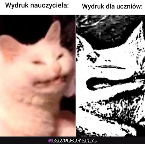 Zawsze tak to wygląda