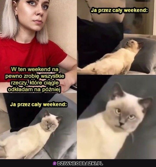 To ja w weekend