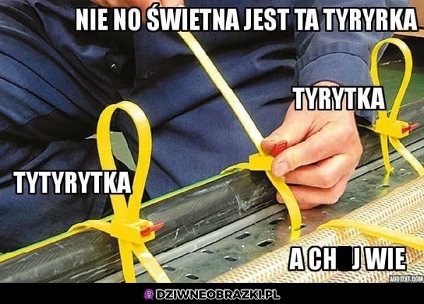 Świetna jest