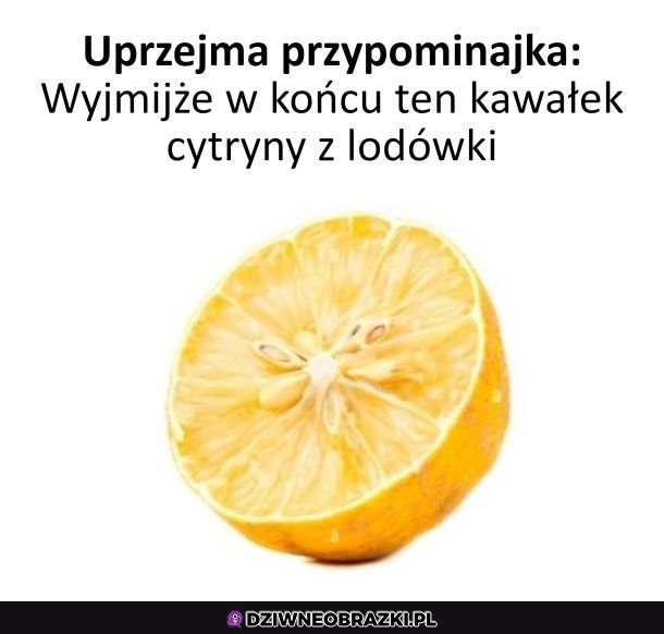 Szybka przypominajka 