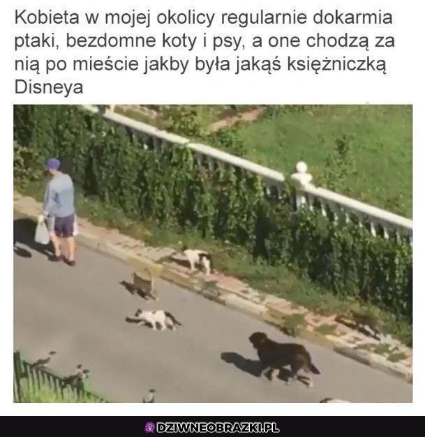 Najlepsza