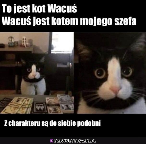 Wacuś