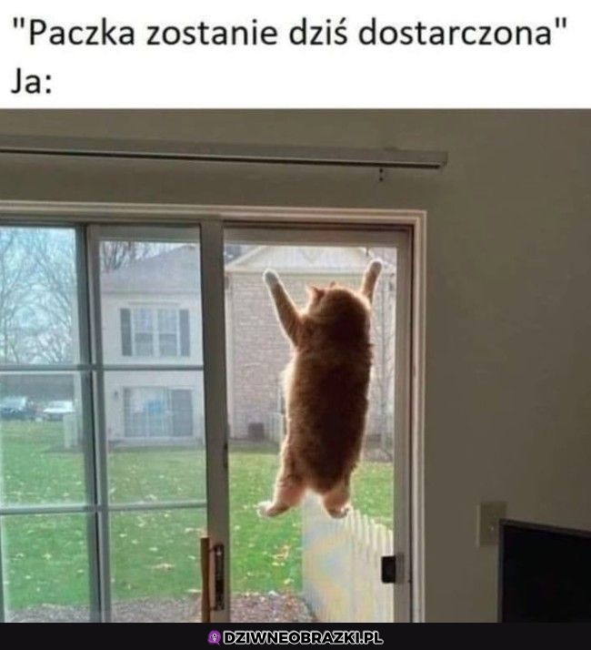 Czekam z wytęsknieniem